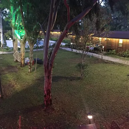 Lemonpark House