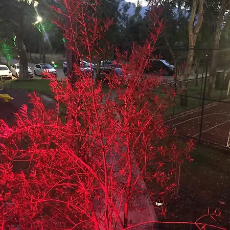 Rezort Lemonpark House Antalya