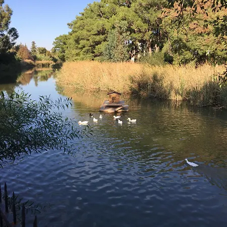 Lemonpark House 度假村 安塔利亚