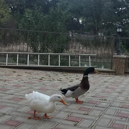 Lemonpark House 度假村