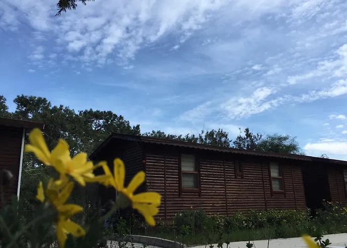 Lemonpark House