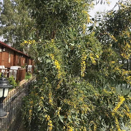 Lemonpark House אתר נופש 3*