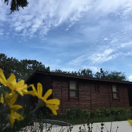 Lemonpark House