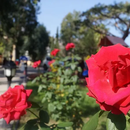 Resort Lemonpark House 3*