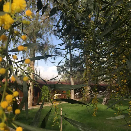 Lemonpark House 3* Antalya